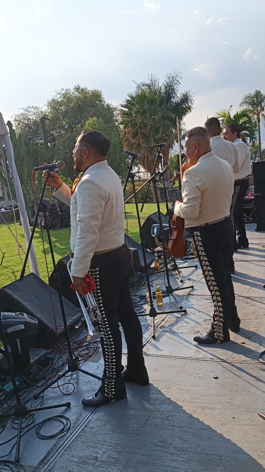 Mariachi en vivo para serenatas románticas en Guadalajara